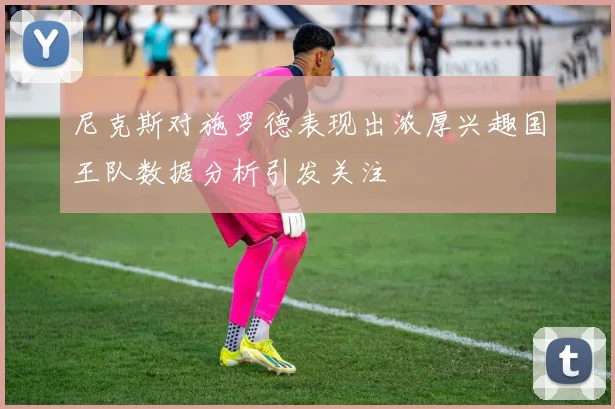 尼克斯对施罗德表现出浓厚兴趣国王队数据分析引发关注