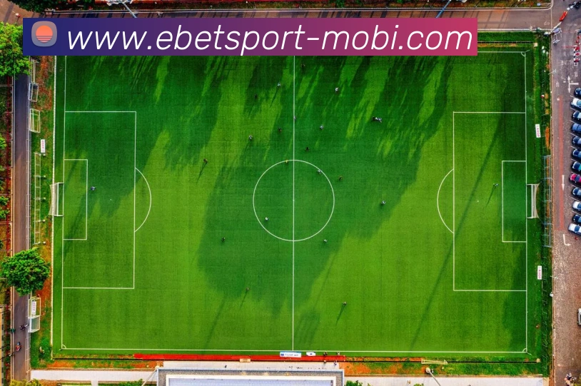 易倍体育APP 封面图